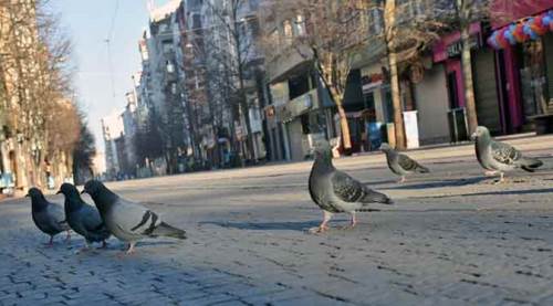 Eskişehir sokakları onlara kaldı