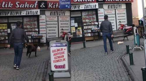 Eskişehir sokaklarında "hırsız köpek" kovaladılar, çaldığıysa...