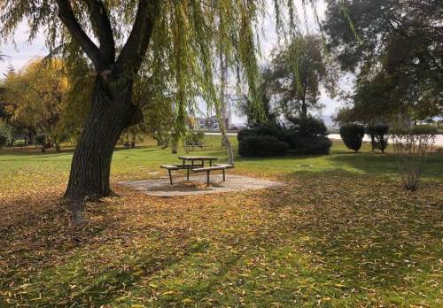 Eskişehir sokaklarında fotoğraflık sonbahar manzaraları