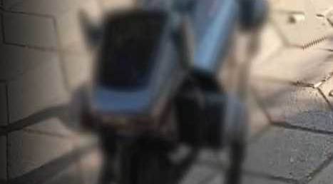 Eskişehir sokaklarında gezdi, sosyal medyayı salladı