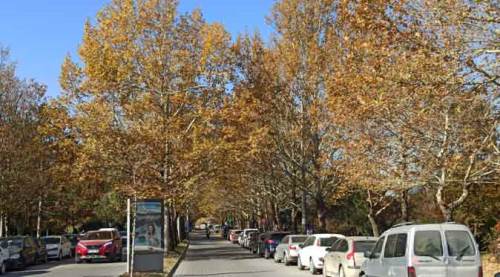 Eskişehir sokaklarında hayran bırakan manzaralar