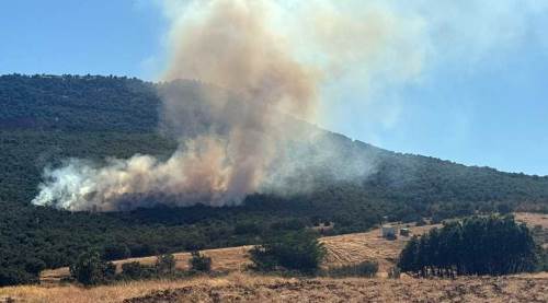 Eskişehir son dakika: Mihalıççık’ta orman yangını! Alevlere havadan ve karadan müdahale