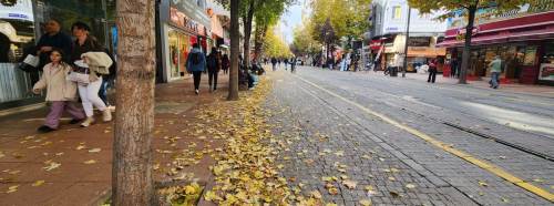 Eskişehir sonbahar renklerine büründü!