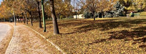 Eskişehir sonbaharın renkleriyle süslendi!