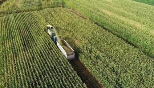 Eskişehir Tarımsal Kooperatifleri ödüllendirildi