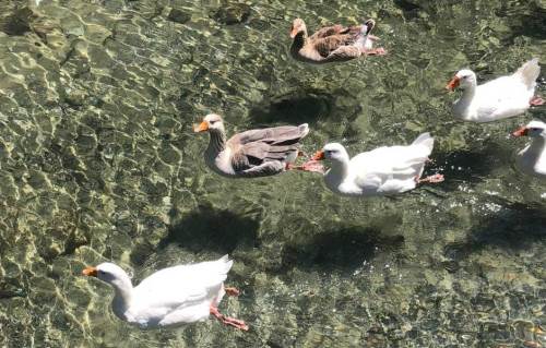 Eskişehir THK Eğitim Merkezi’nde doğa harikası!