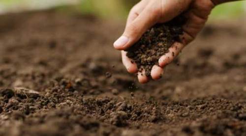 Eskişehir toprakları için önemli proje hayata geçti