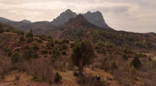 Eskişehir topraklarında 800 yıldır hayatta!
