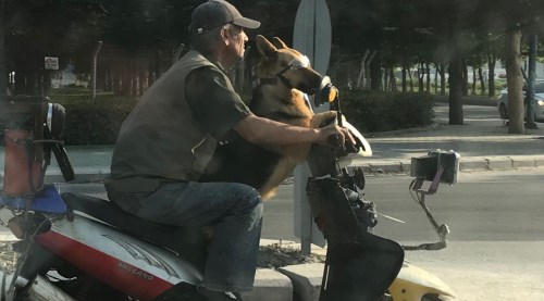 Eskişehir trafiğinde ilginç görüntü...