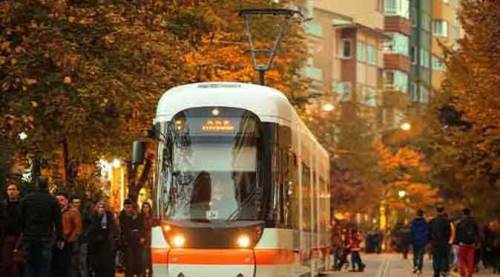 Eskişehir tramvayında onu da gördük: Köpek de değil, kedi de...