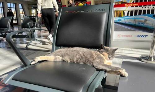 Eskişehir tren garında sıcacık uyku: Yolcuların yüzü güldü