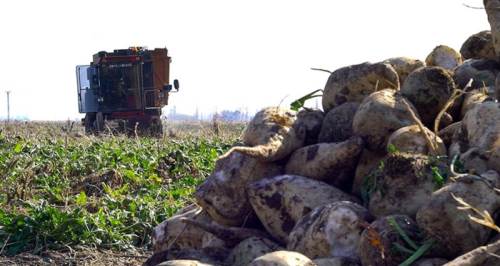 Eskişehir üreticisinin önünü açacak teklif