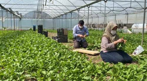 Eskişehir üretime ara vermiyor!
