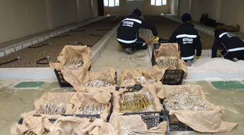 Eskişehir üretiyor, tüm Türkiye'ye gönderiyor!