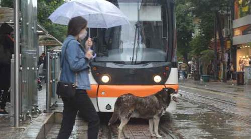 Eskişehir uzun süredir bekliyordu, nihayet yarın...