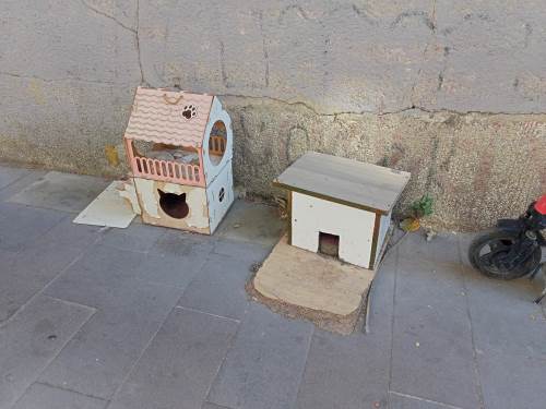 Eskişehir vatandaşlarından sokak hayvanlarına yuva desteği!