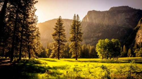 Eskişehir ve Afyonkarahisar'da yasak başlıyor: 30 Eylül'e kadar...
