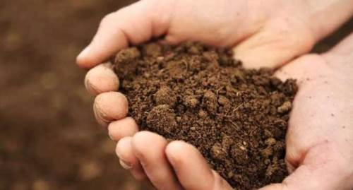 Eskişehir ve ilçelerinde o uygulama başladı, yıl boyu ücretsiz olacak!