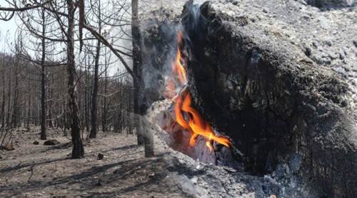 Eskişehir yangınında bilanço ağır! Yanan alanın boyutu...
