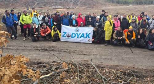 Eskişehir yangınında zarar gören orman yeniden yeşerek