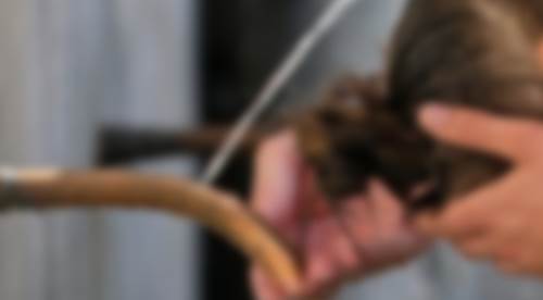 Eskişehir yaz sıcaklarında serinleten keyif!