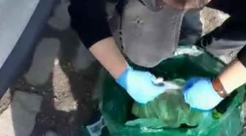 Eskişehir yolunda yakalandı! Piyasa değeri bir milyon lira...