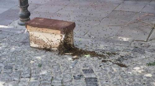 Eskişehirde panik anları: Yüzlercesi mahalleyi sardı