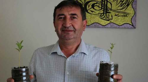 Eskişehirli ‘Toprak Dede’ evde ağaç yetiştiriyor!