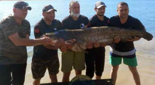 Eskişehirli balıkçıların yakaladığı devin fotoğrafı hayrete düşürdü!