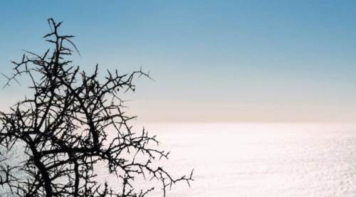 Eskişehirli çiftçiden kara kara düşündüren sözler