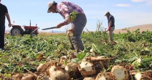 Eskişehirli çiftçilerden sert tepki: ‘Bu fiyatla üretim yapmamız imkansız!’”