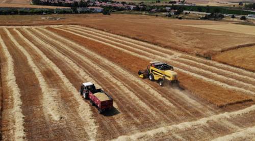 Eskişehirli çiftçilere duyuruldu: Fiyatları belli oldu!