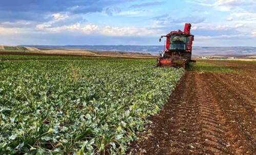 Eskişehirli çiftçinin hesabına ödemeler yatırıldı!