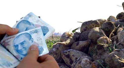 Eskişehirli çiftçiye müjde verildi: Hesaplarınızı kontrol edin!