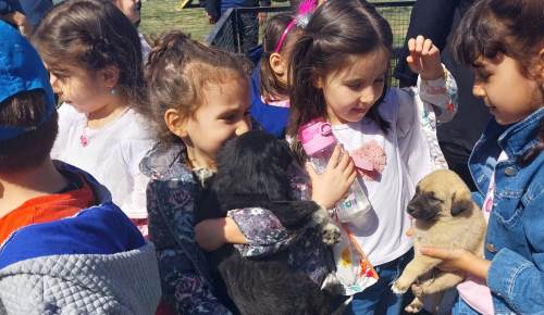 Eskişehirli çocuklardan patili dostlara ziyaret