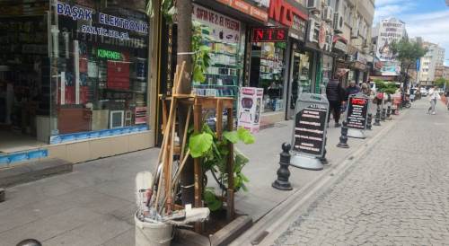 Eskişehirli esnaf genç ağacı böyle korumaya aldı