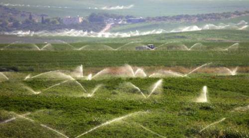 Eskişehirli gençler yaptı: Çiftçiyi rahatlatacak proje 