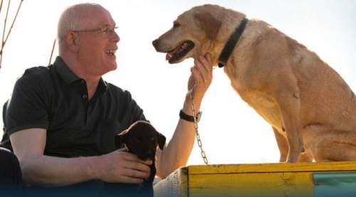 Eskişehirli hayvanseverler Kazım Kurt'tan güzel haber var! 