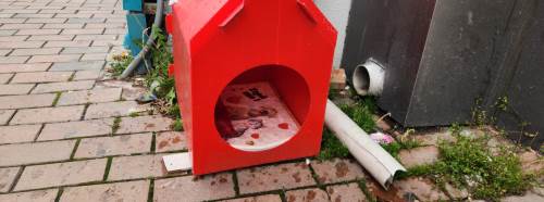 Eskişehirli hayvanseverlerden can dostlara destek