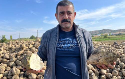 Eskişehirli üretici verimden memnun ama fiyatlar... 