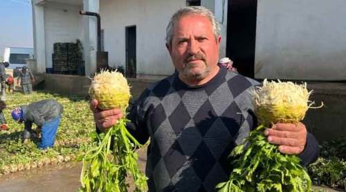 Eskişehirli üreticinin fiyat isyanı!