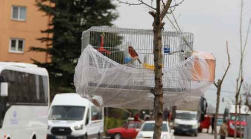 Eskişehirli vatandaşın güldüren çözümü 