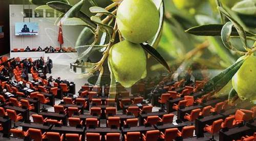 Eskişehirli vekil sofradaki zeytine Meclis'te sahip çıktı