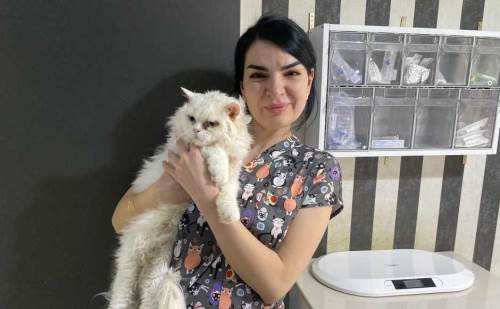 Eskişehirli veteriner uyardı: Tatile çıkarken kedi ve köpeğinizi böyle bırakmayın!