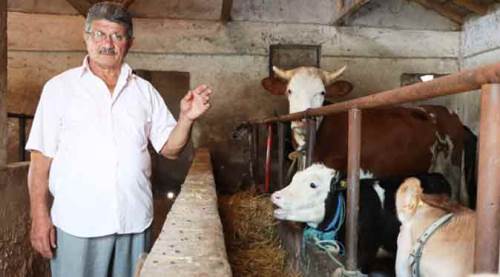 Eskişehirliler aman dikkat! Dolandırıcıya kurban gittiler...