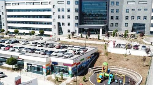 Eskişehirliler de oraya gitti: 350 hasta tedavi gördü!