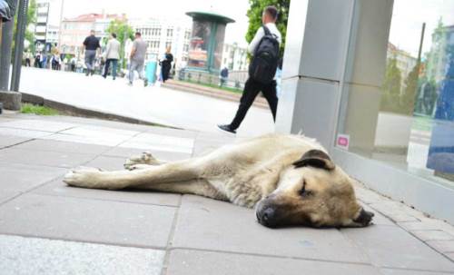Eskişehirliler de tartışmaların odağındaki yasaya tepkililer!