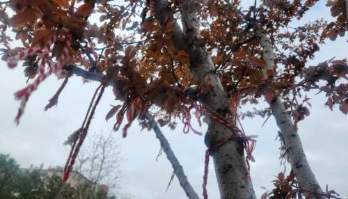 Eskişehirliler dileklerini ve dualarını doğaya emanet etti