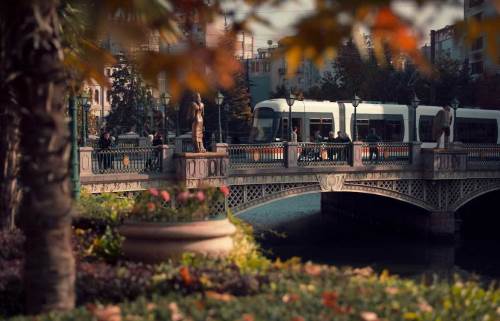 Eskişehirliler haydi oy kullanmaya: Büyükşehir duyurdu!