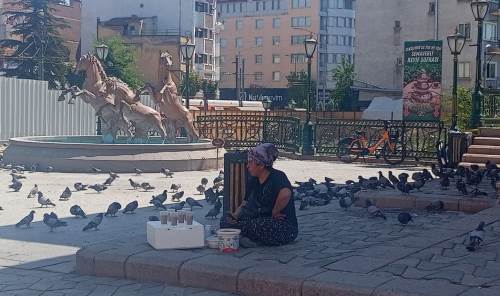 Eskişehirliler Köprübaşı’nda güvercinlerle buluşuyor